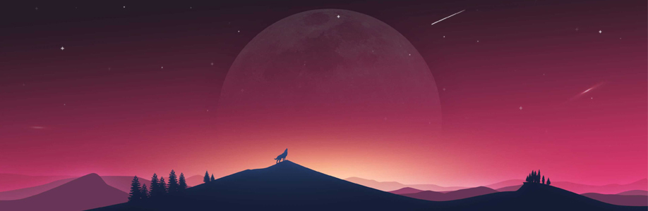 Phoenix Cover Image